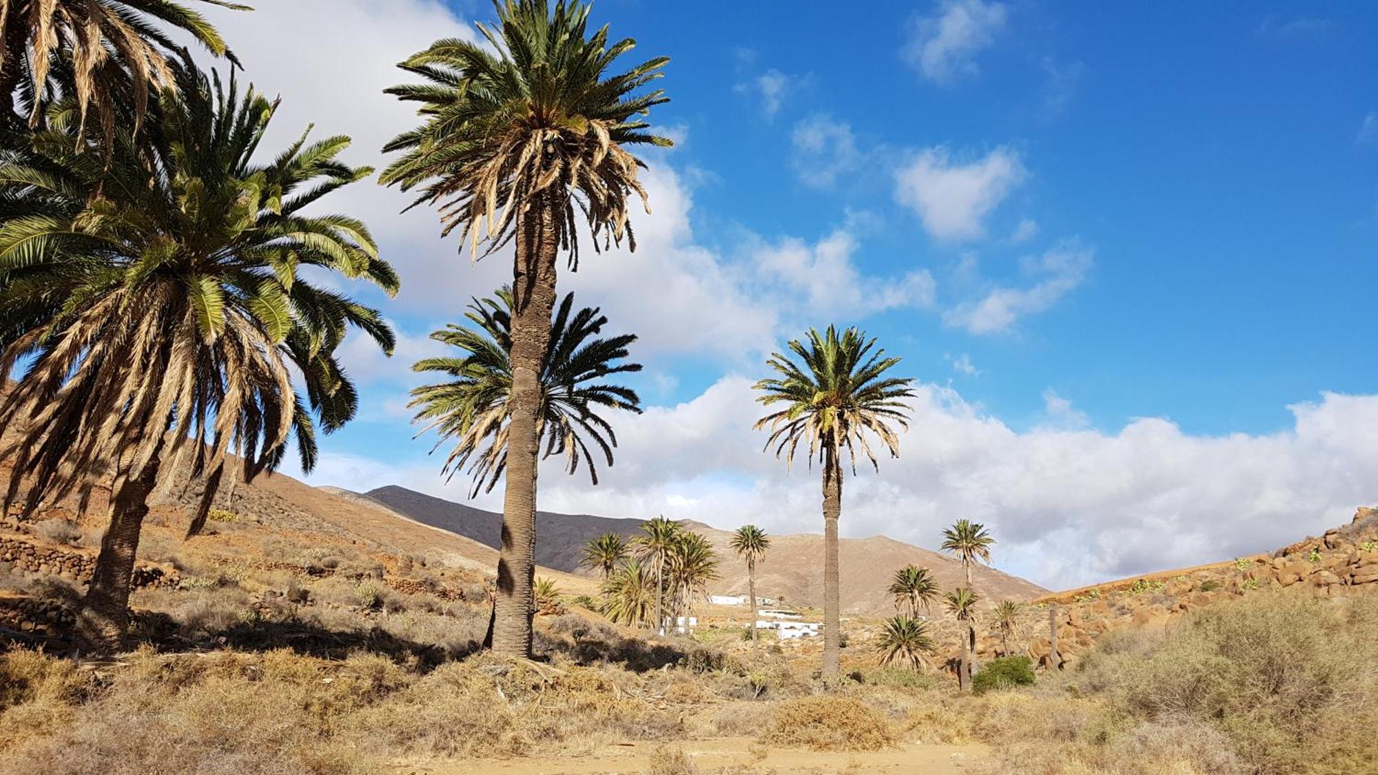 Casa Cocoon, Sun&Freedom, 8 Mn From Beaches, Internet Fiber ラハレス エクステリア 写真