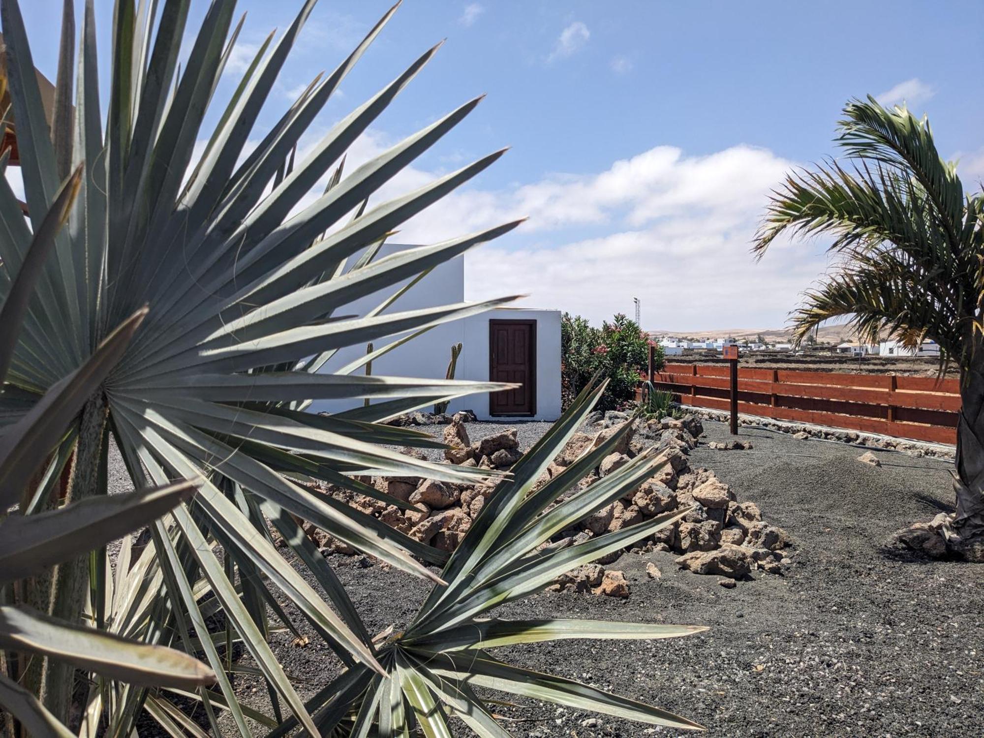 Casa Cocoon, Sun&Freedom, 8 Mn From Beaches, Internet Fiber ラハレス エクステリア 写真